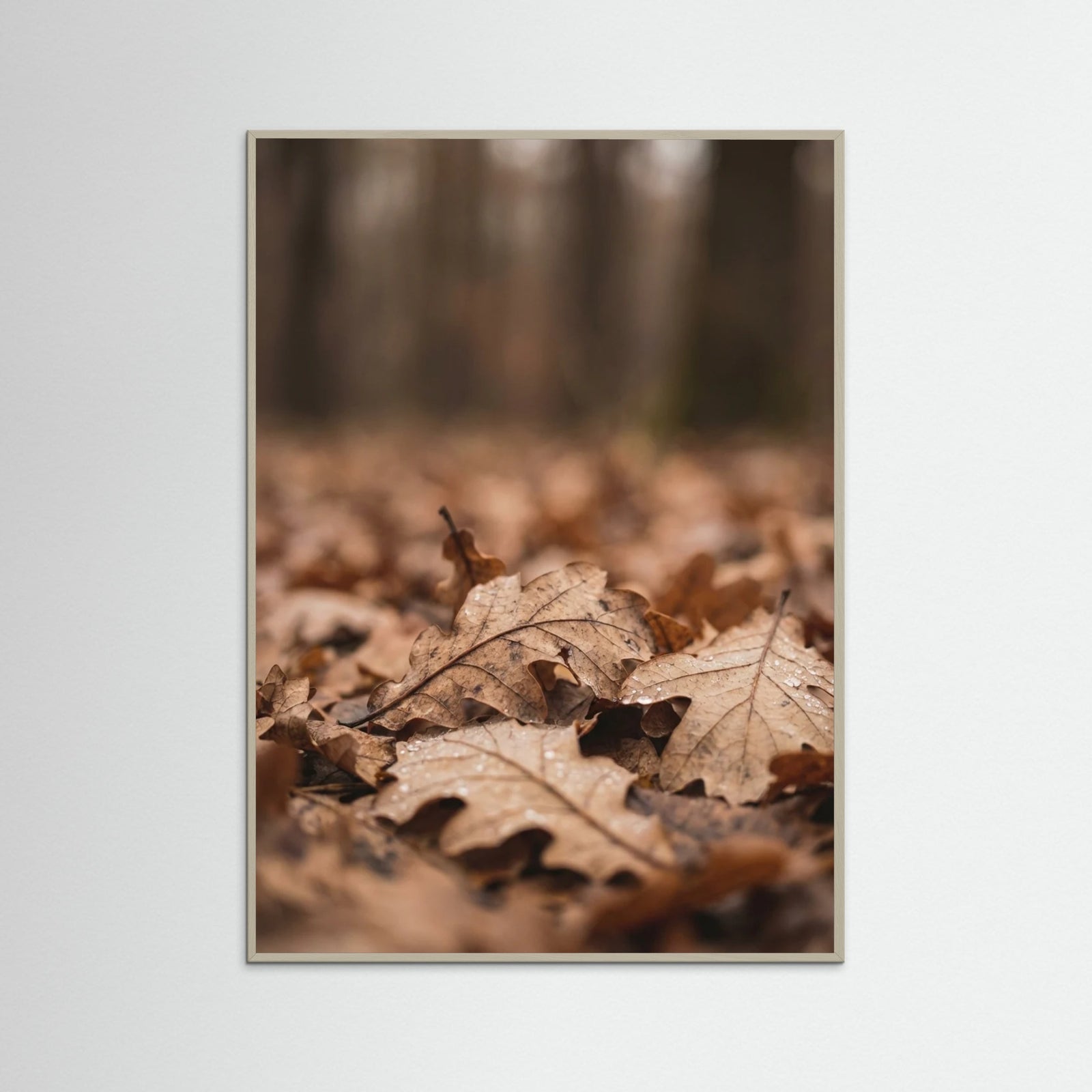 Grey Wood Fading Serenity
