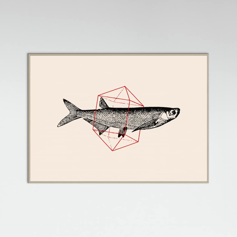 Fish In Geometrics Nº2 Poster – plakat og kunsttryk