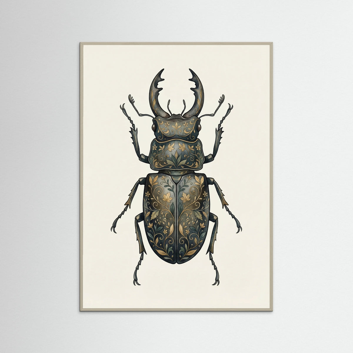 Grey Wood Floral Moth Specimen