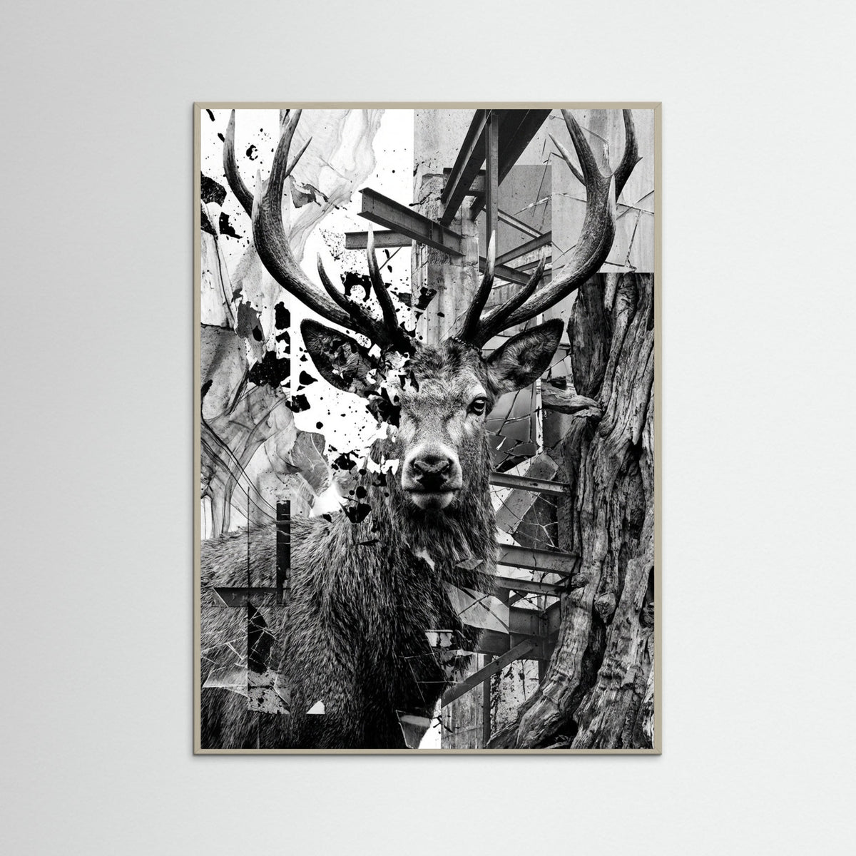 Grey Wood Fractured Gaze