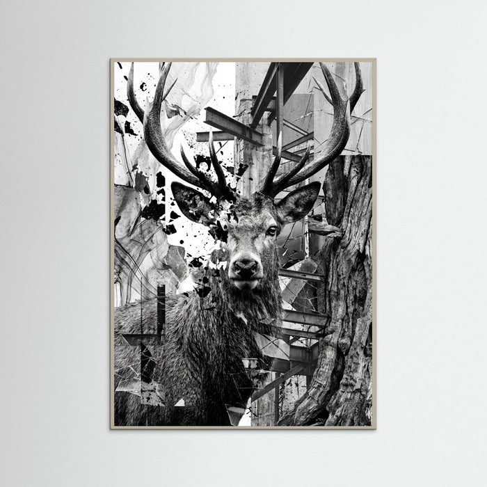 Grey Wood Fractured Gaze