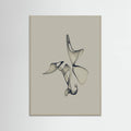 Poster Free Torus - 1 – poster e stampa artistica