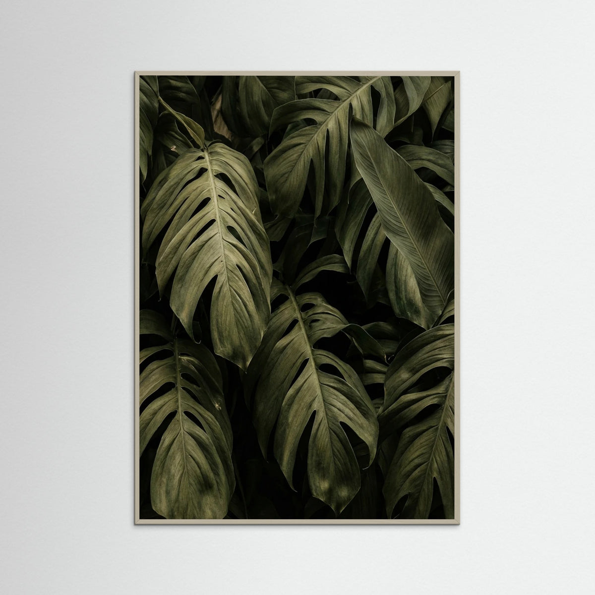 Grey Wood Frond Shadows