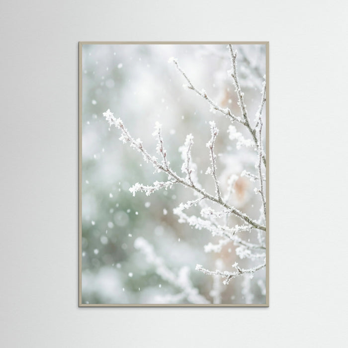 Grey Wood Frosted Pines