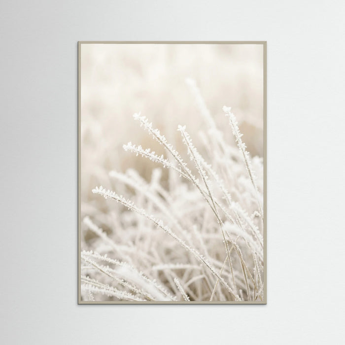 Grey Wood Frosted Whispers