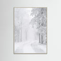 Grey Wood Frozen Calm