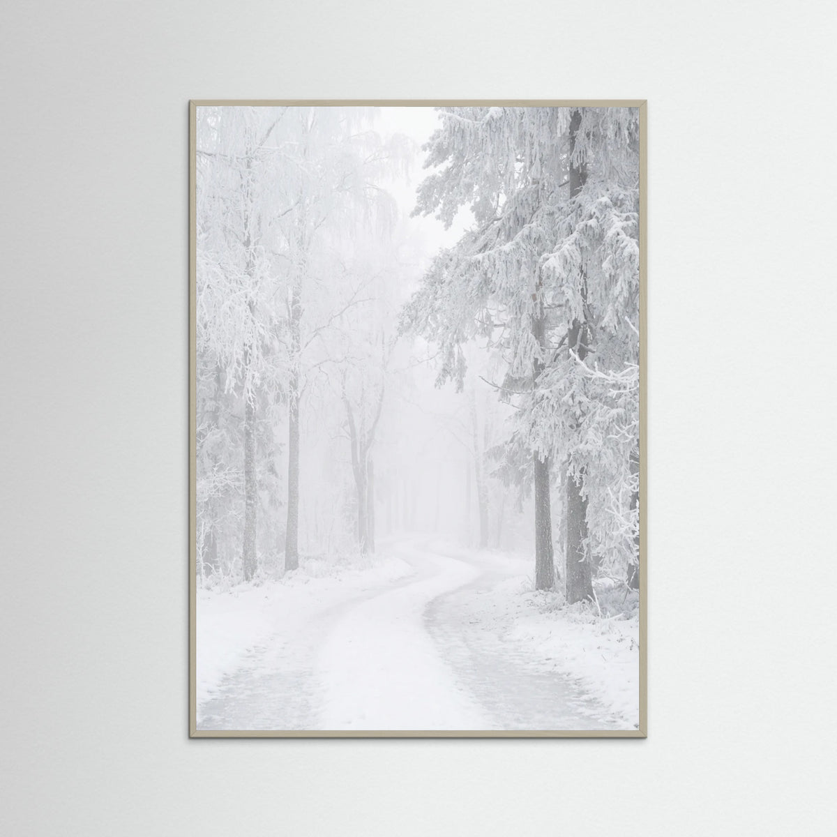 Grey Wood Frozen Calm