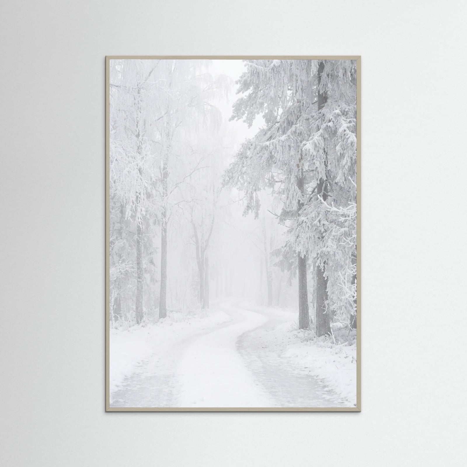 Grey Wood Frozen Calm
