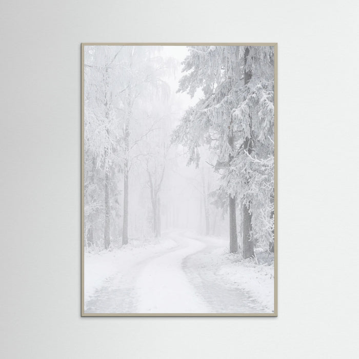 Grey Wood Frozen Calm
