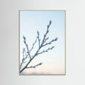 Grey Wood Frozen Whisper