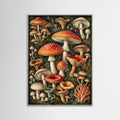 Grey Wood Fungal Fantasy
