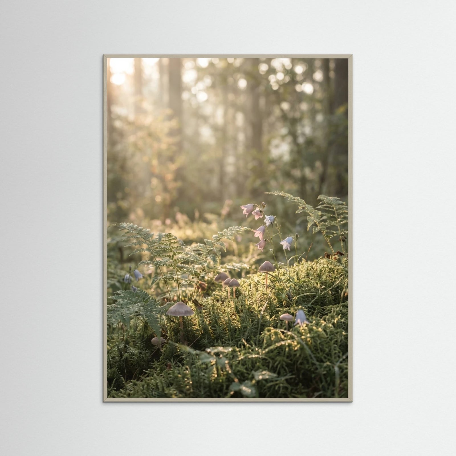 Grey Wood Golden Hour Serenity