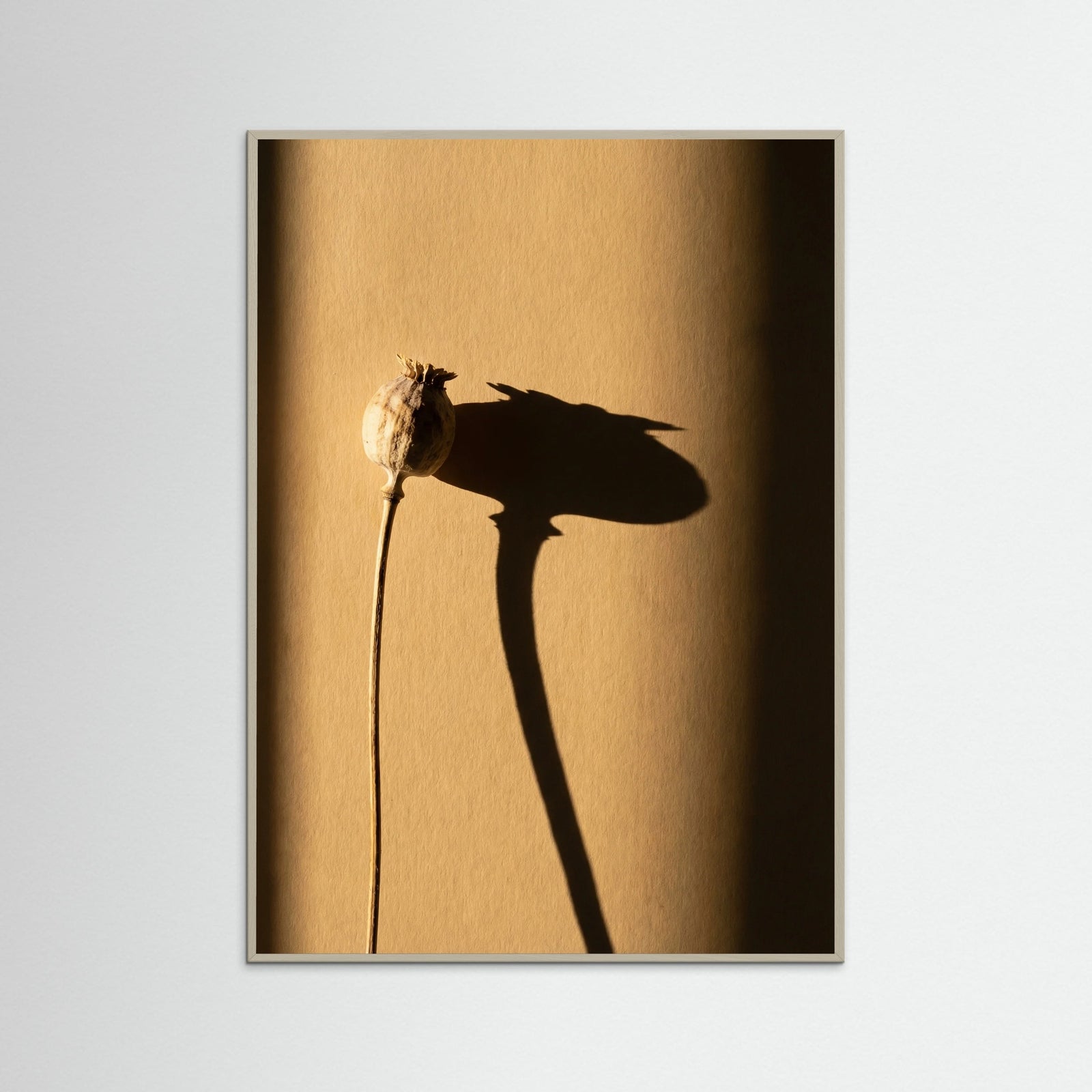 Grey Wood Golden Rose Shadow