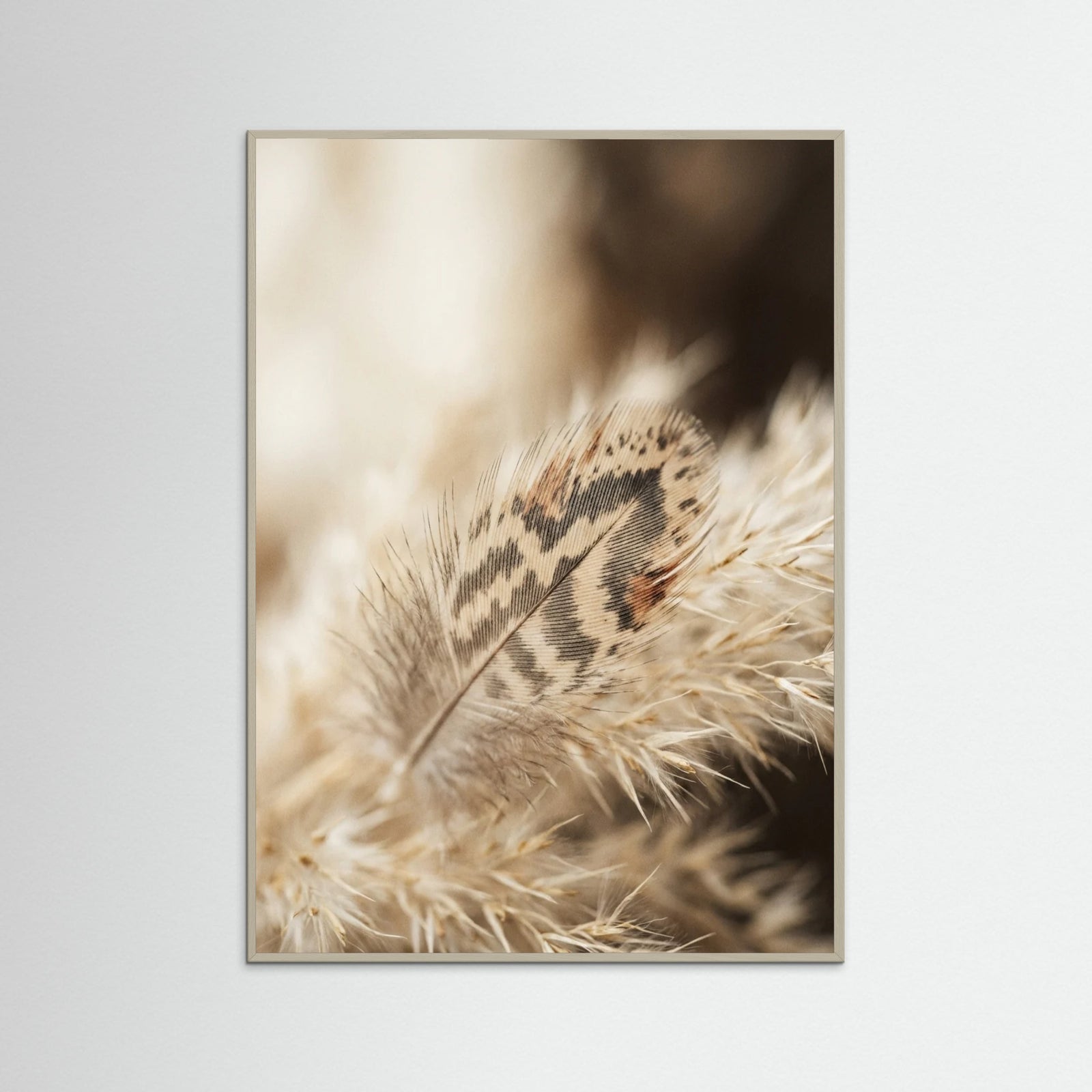 Grey Wood Gossamer Dreams