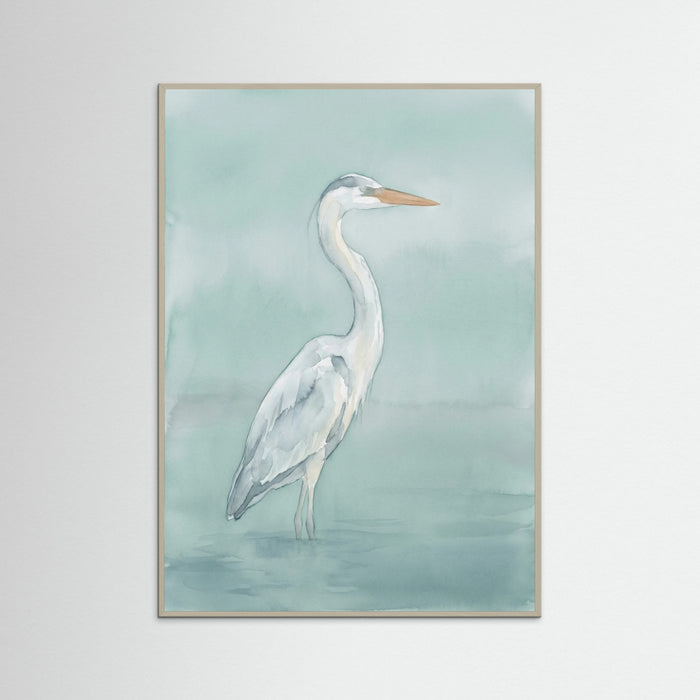 Grey Wood Graceful Swan