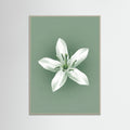 Grey Wood Green Coffee Serenity