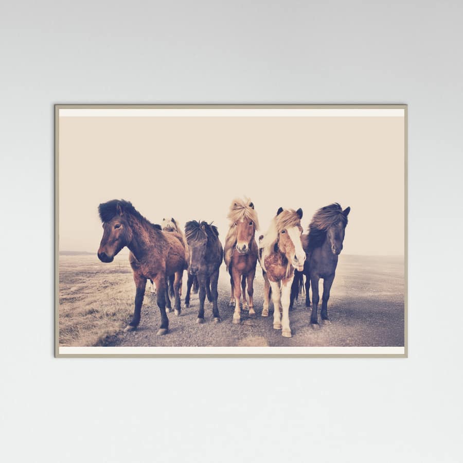 Poster Horses – poster e stampa artistica