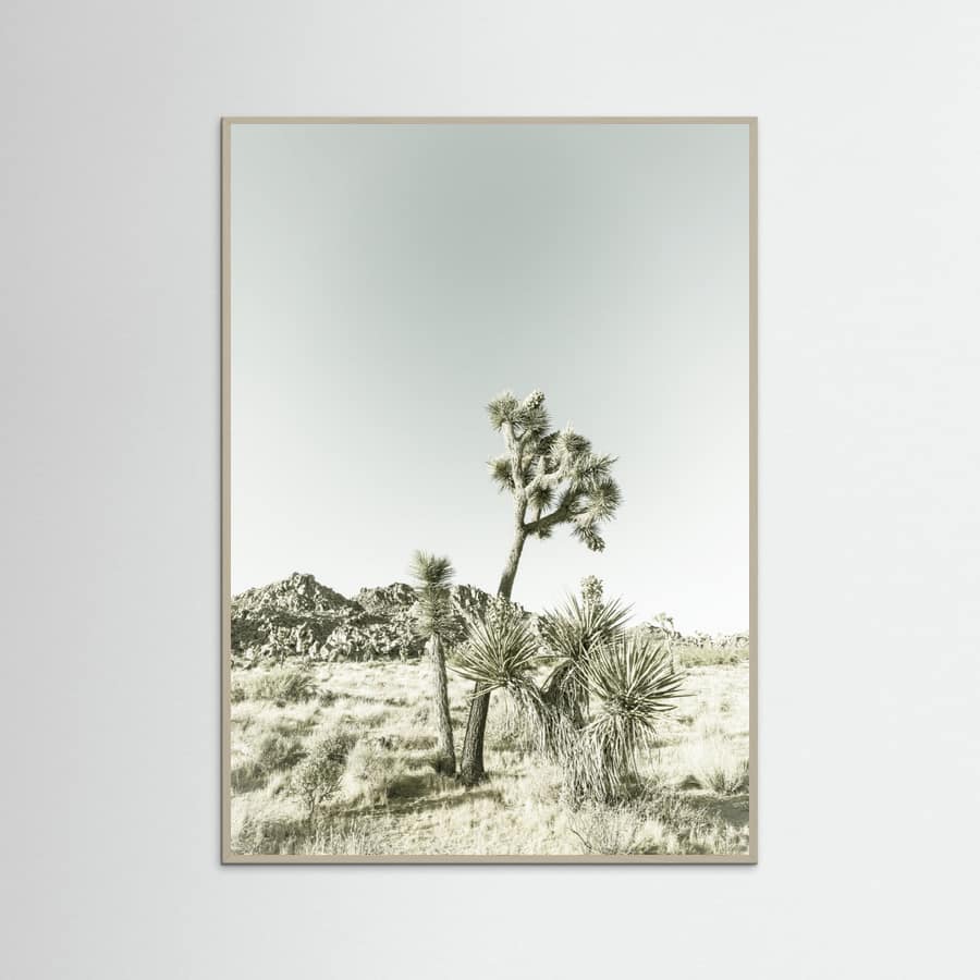 Grey Wood Joshua Tree National Park Vintage Impression Poster