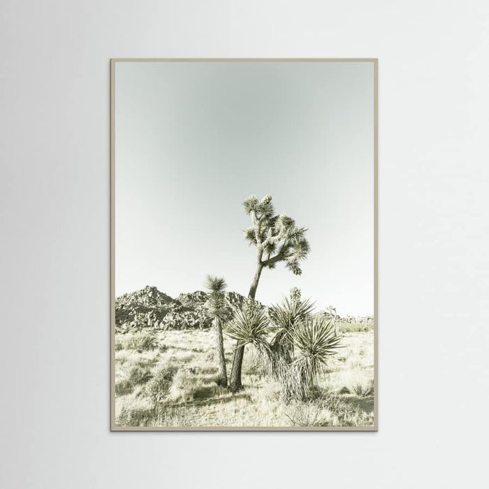 Grey Wood Joshua Tree National Park Vintage Impression Poster