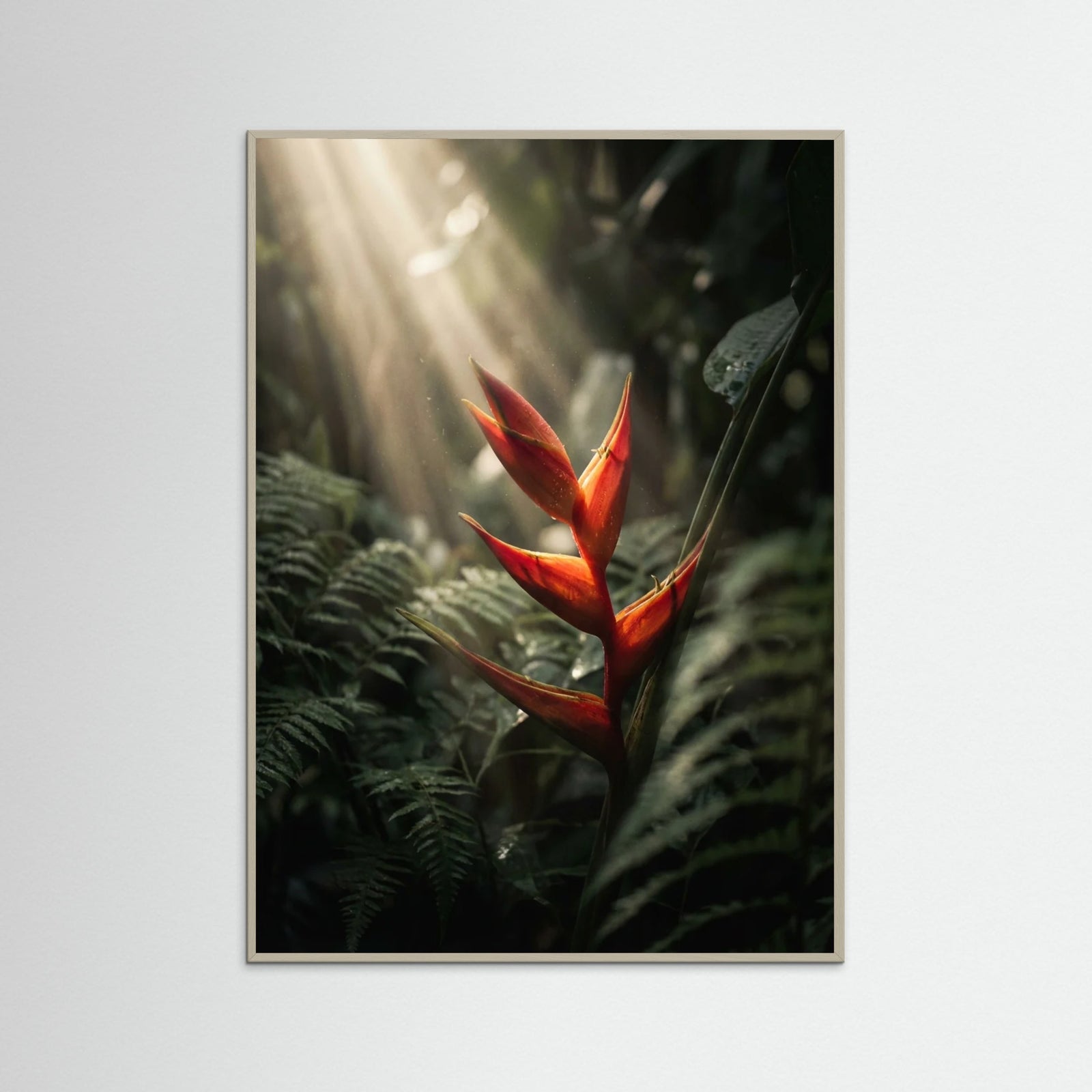 Grey Wood Jungle Glow