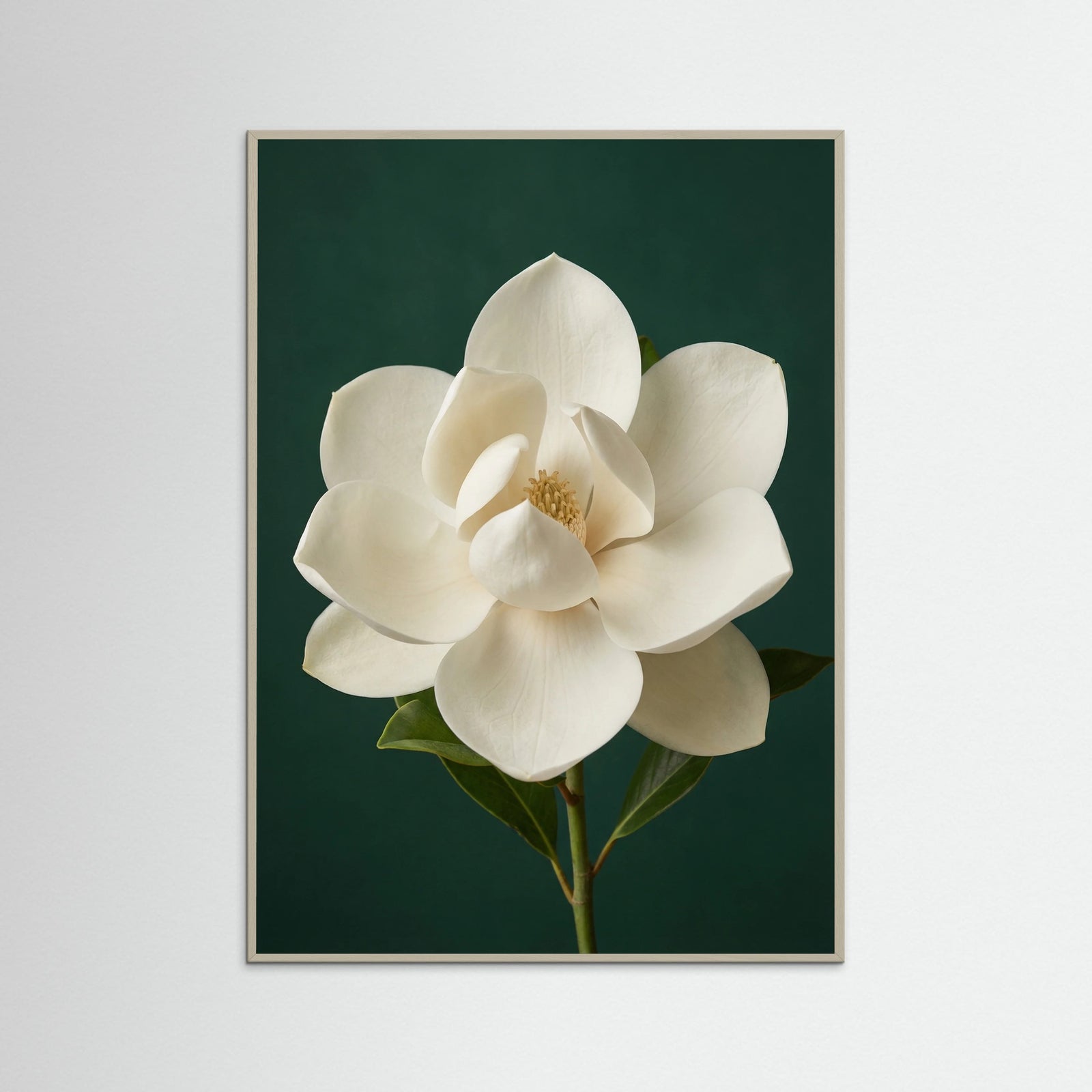 Grey Wood Lilac Iris Bloom