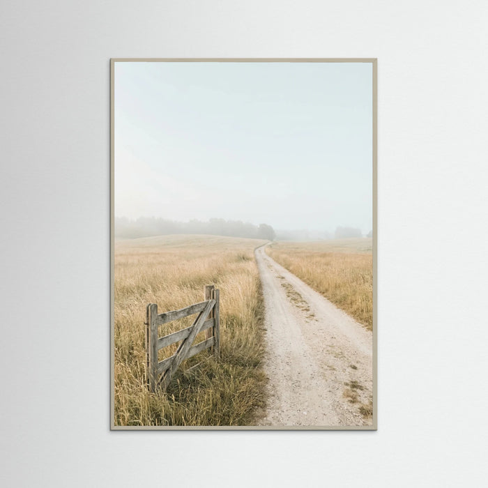 Grey Wood Misty Coastal Path