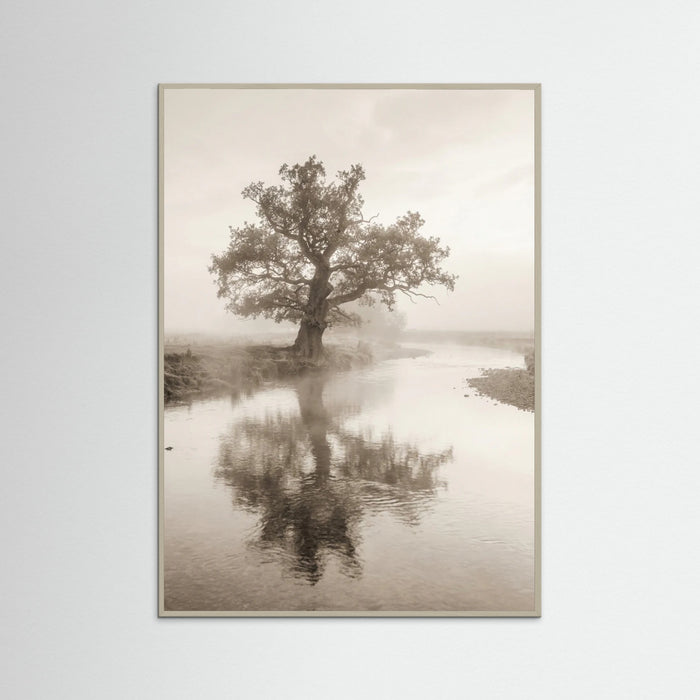 Grey Wood Misty Mountain Serenity
