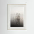 Grey Wood Misty Solitude