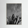 Grey Wood Monochrome Cactus Sky Poster