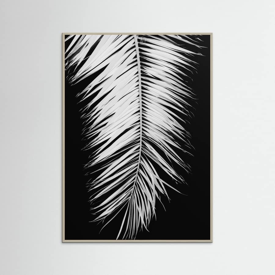 Poster Monochrome Palm Elegance – poster e stampa artistica