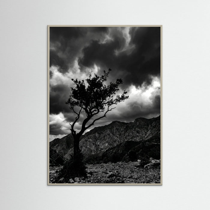 Grey Wood Monochrome Seascape