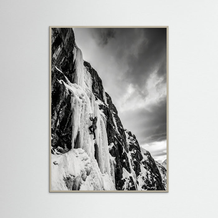 Grey Wood Mountain Leap