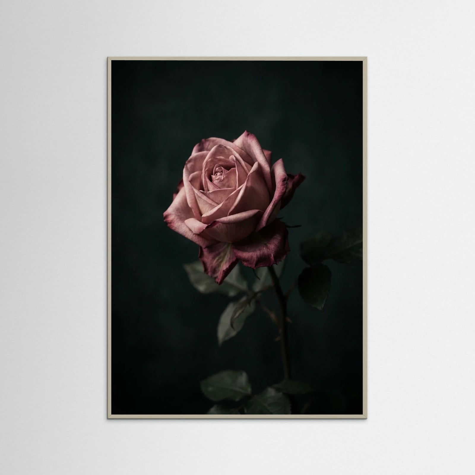 Grey Wood Muted Grace