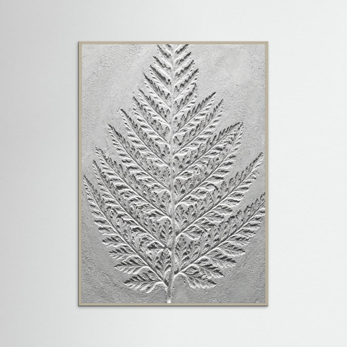 Grey Wood Nautilus Relief