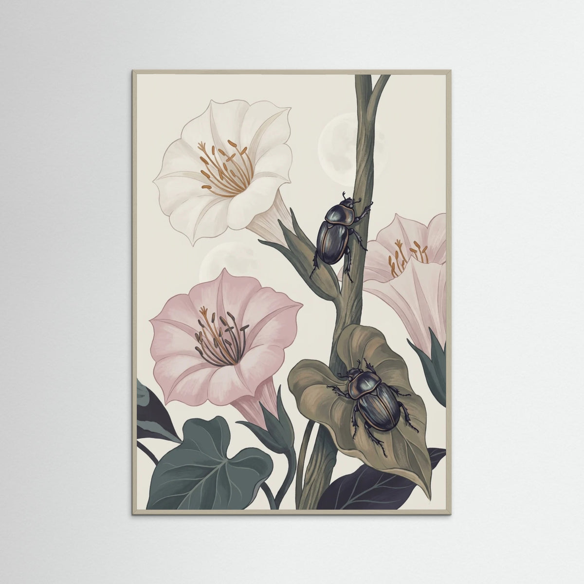 Grey Wood Nocturnal Bloom