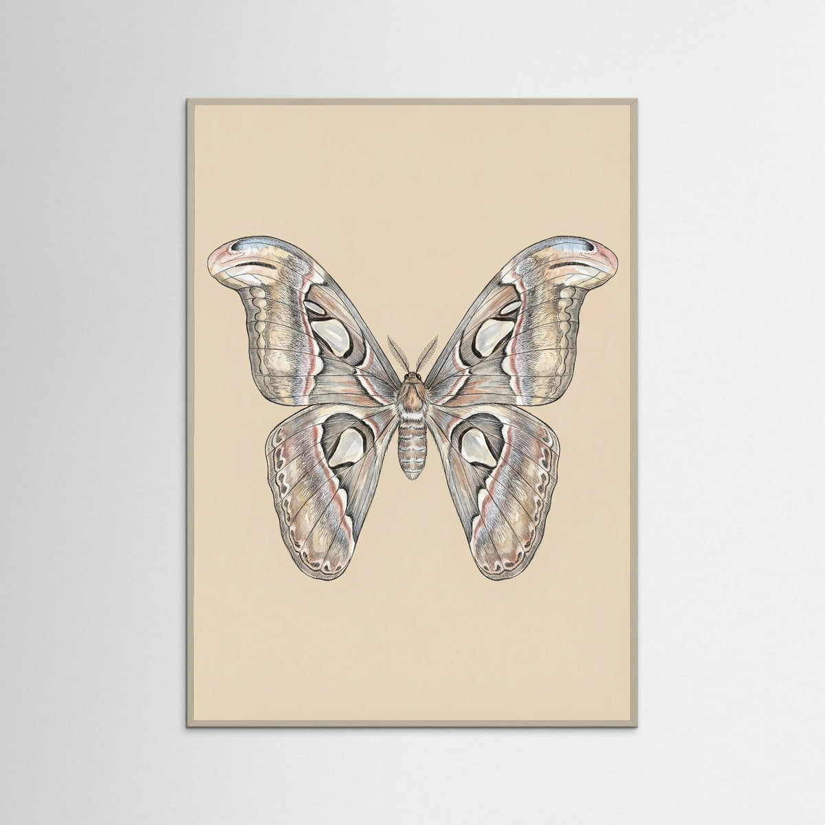 Grey Wood Nocturnal Elegance