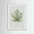 Grey Wood Olive Branch Study