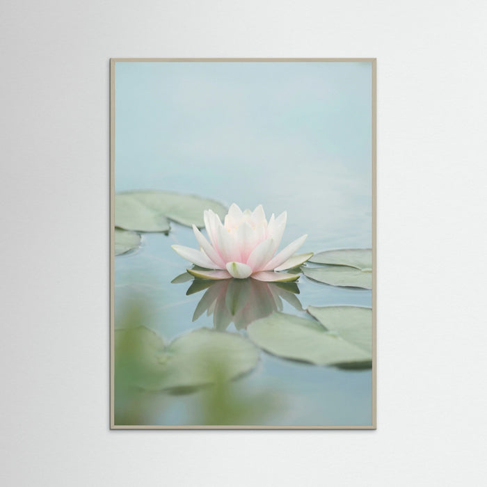 Grey Wood Pink Lotus Serenity