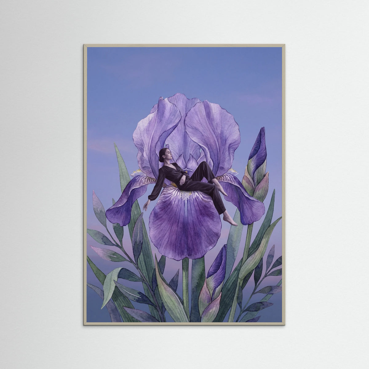 Grey Wood Poppy Reverie