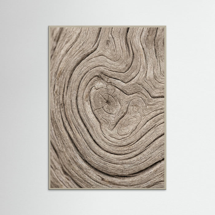 Grey Wood Sandy Whisper