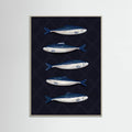 Affiche Sardines – affiche et impression d’art