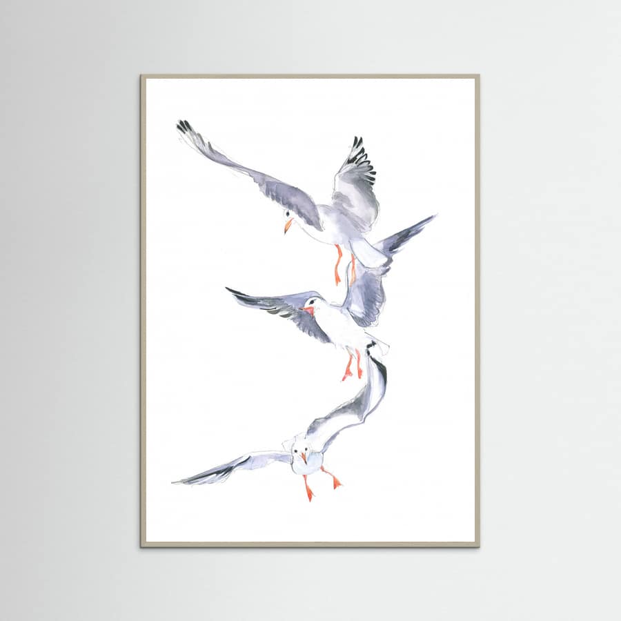Poster Seagull Flight – poster e stampa artistica