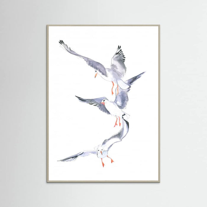 Poster Seagull Flight – poster e stampa artistica