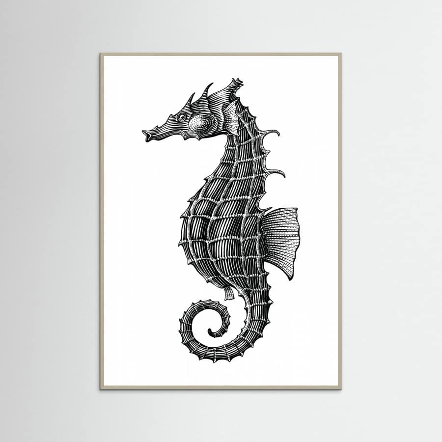Affiche Seahorse – affiche et impression d’art
