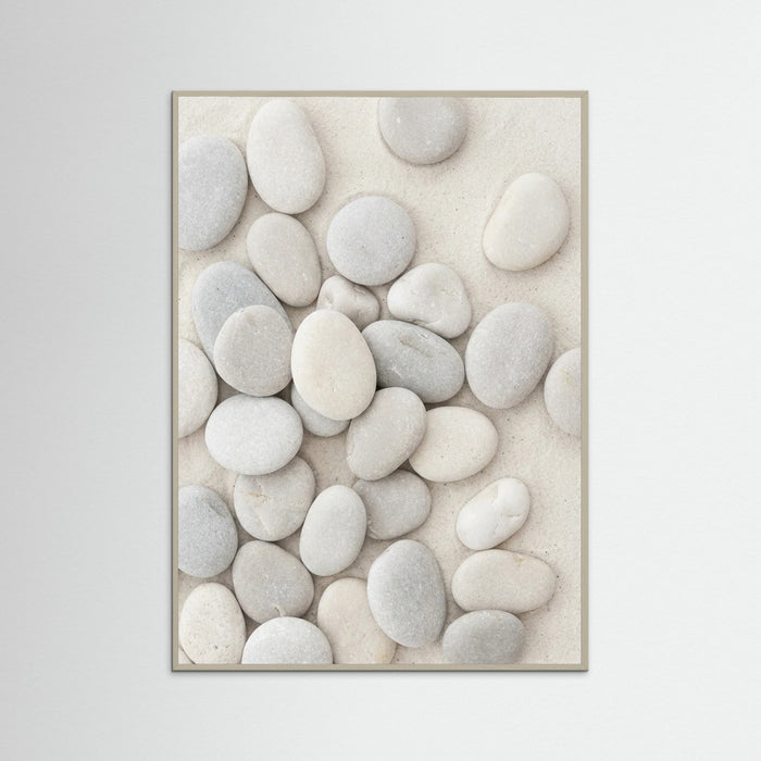 Grey Wood Seashell Serenity