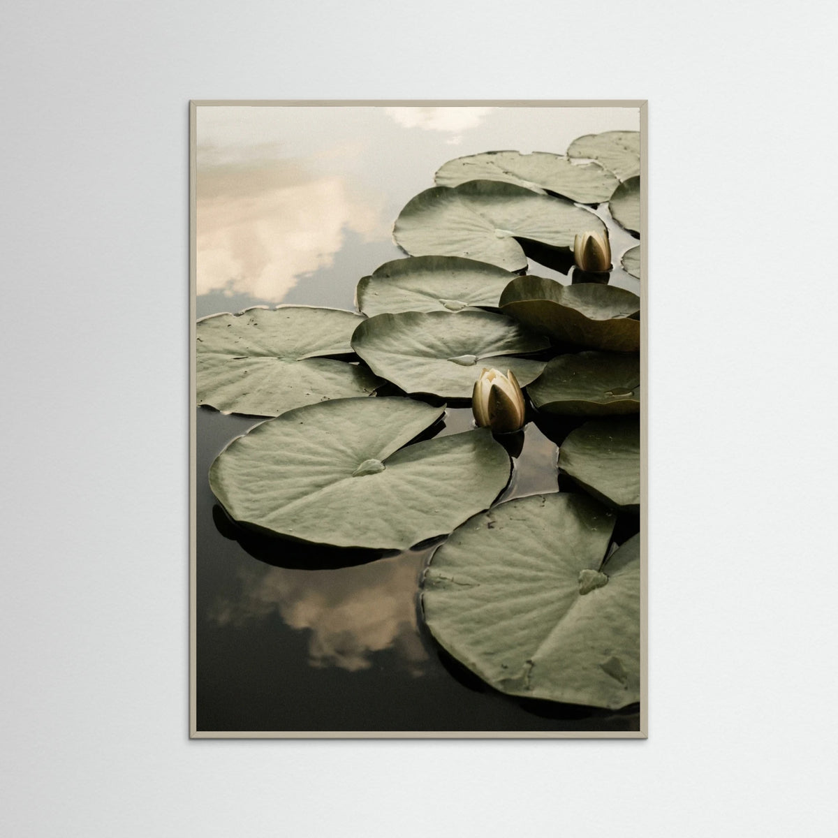 Grey Wood Serene Bloom