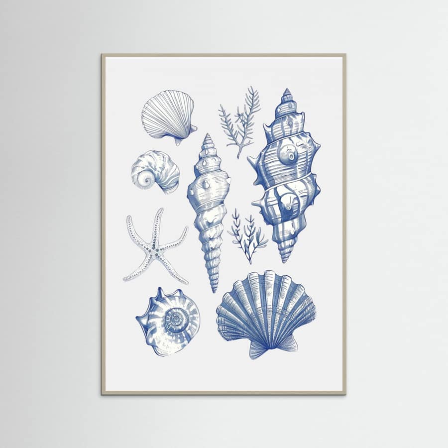 Plakat Shell Collage – plakat i druk artystyczny