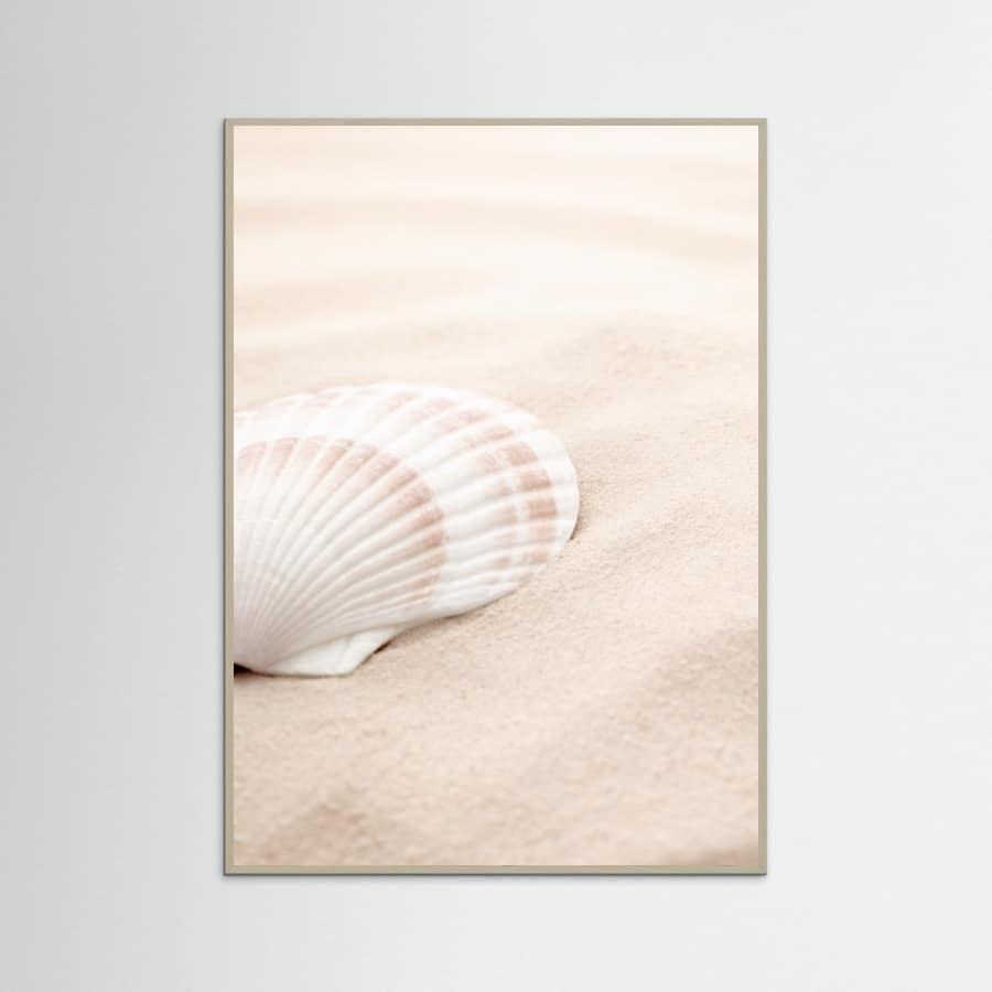 Poster Shell_3 – poster e stampa artistica
