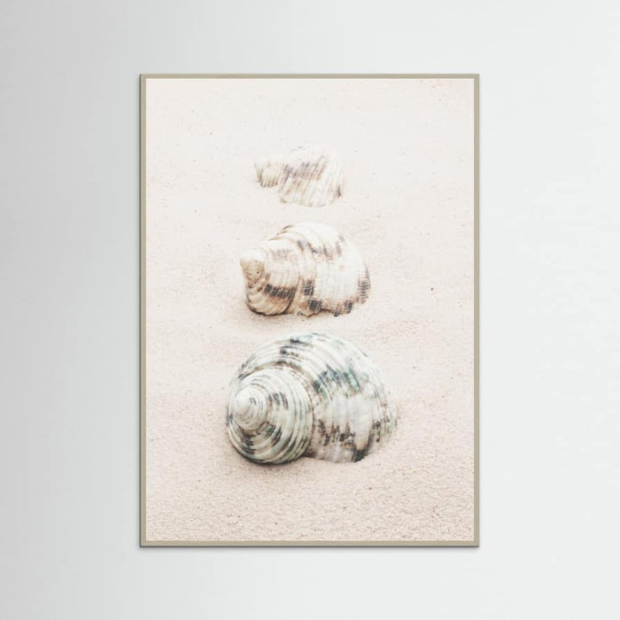 Poster Shells – poster e stampa artistica