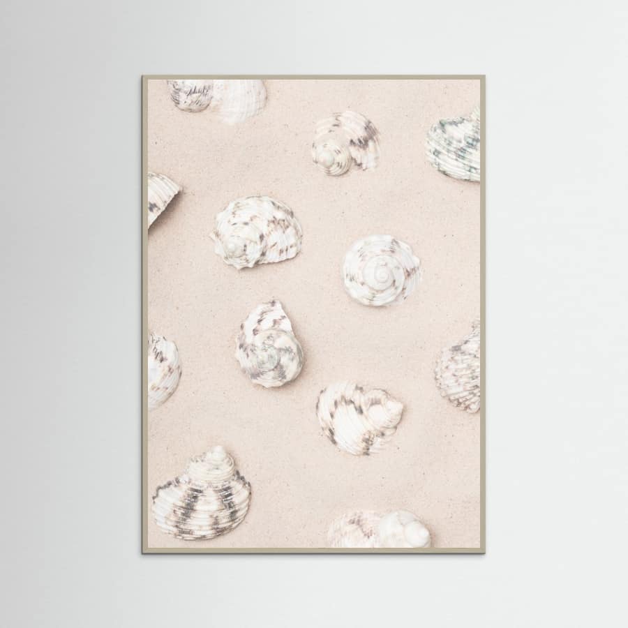 Shells_2 Poster – Poster und Kunstdruck